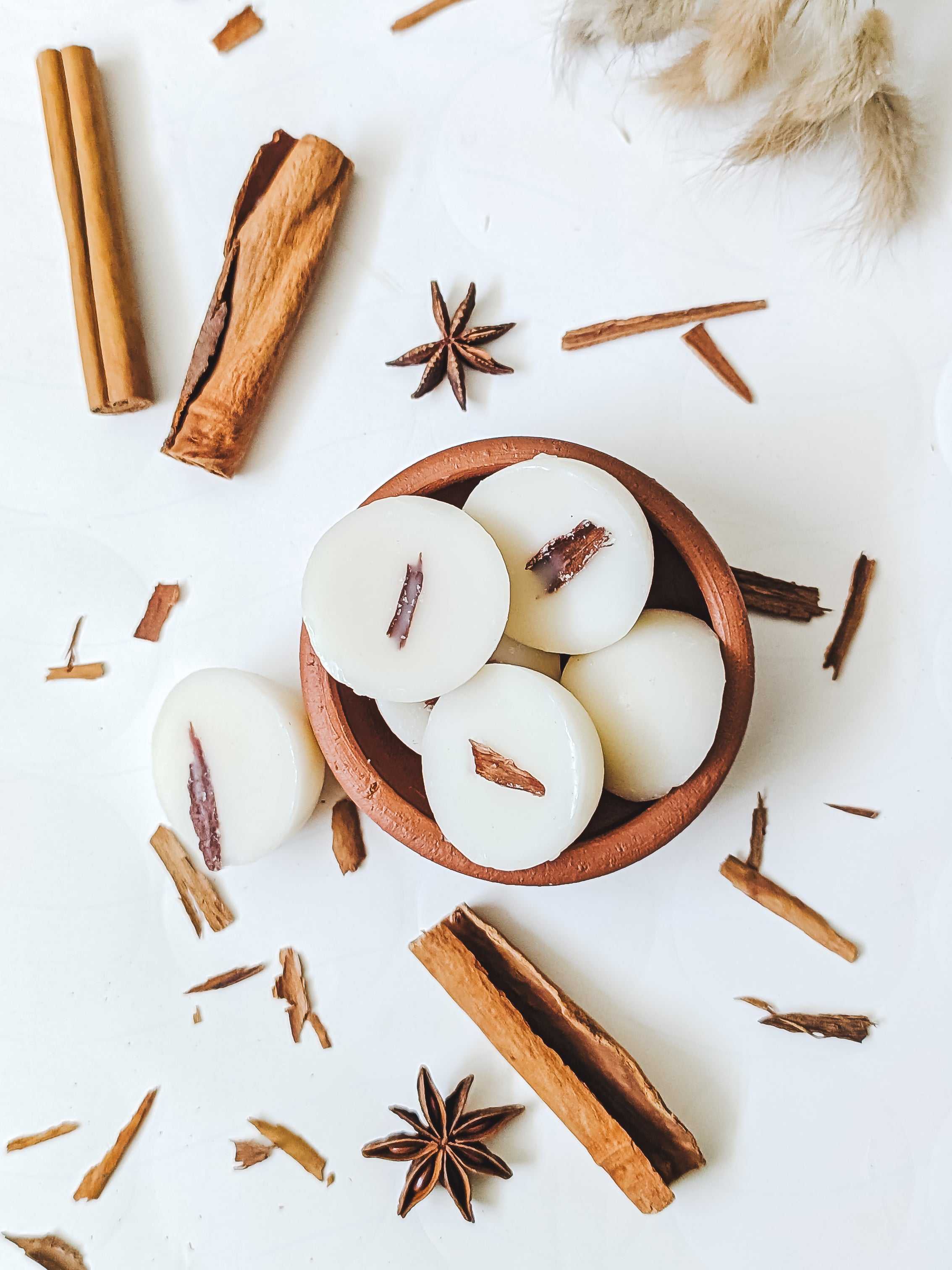Cinnamon Spice Wax Melts